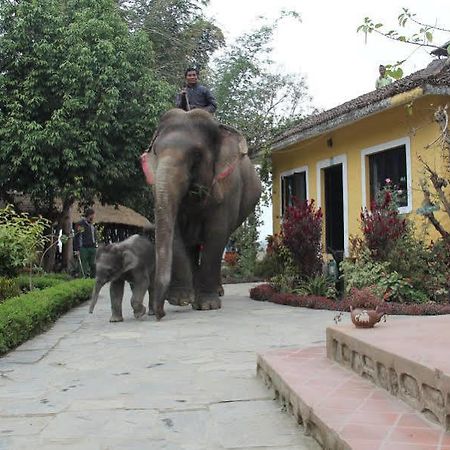Hotel Sapana Village Lodge Chitwan Zewnętrze zdjęcie